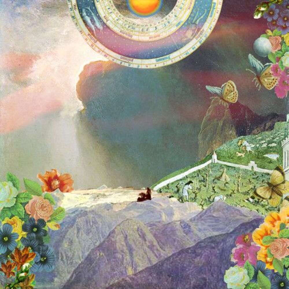Night Moves - Pennied Days  LP LP